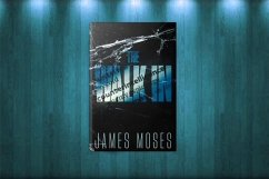 The Walk In (eBook, ePUB) - Moses, James