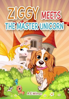 Cover Ziggy Meets the Master Unicorn (eBook, ePUB)