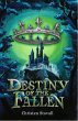 Destiny of the Fallen (eBook, ePUB) - Bild 1