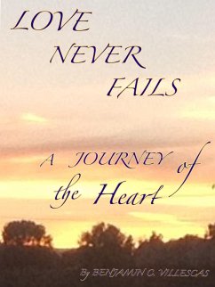 Cover Love Never Fails (eBook, ePUB)