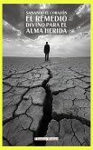 Sanando el Corazón El Remedio Divino para el Alma Herida (eBook, ePUB) Sanando el Corazón El Remedio Divino para el Alma Herida (eBook, ePUB)