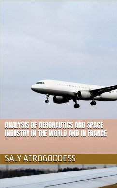 Cover Analysis of the global and French aerospace sector (eBook, ePUB)