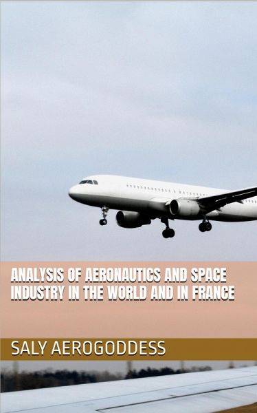 Analysis of the global and French aerospace sector (eBook, ePUB)