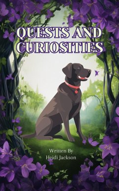 Quests and Curiosities (eBook, ePUB) - Jackson, Heidi
