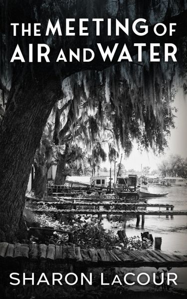 The Meeting of Air and Water (eBook, ePUB) The Meeting of Air and Water (eBook, ePUB)