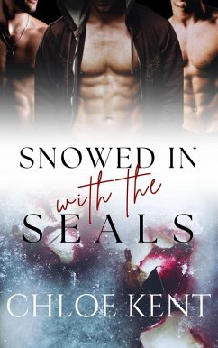 Cover Snowed In With the SEALS (eBook, ePUB)