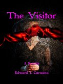 The Visitor (eBook, ePUB)