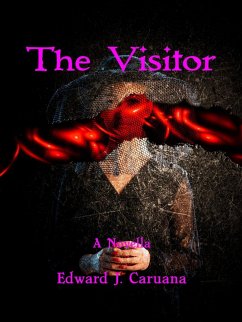 The Visitor (eBook, ePUB) Cover The Visitor (eBook, ePUB)