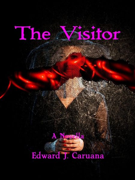 The Visitor (eBook, ePUB)