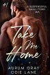 Take Me Home (eBook, ePUB) - Bild 1