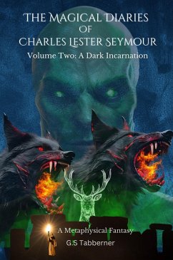 The Magical Diaries of Charles Lester Seymour: A Dark Incarnation (The Magical Diaries Trilogy, #2) (eBook, ePUB) - Tabberner, G. S