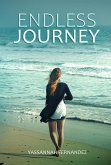 Endless Journey (eBook, ePUB)