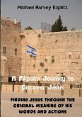 A Pilgrams' Journey to Discovering Jesus (eBook, ePUB)