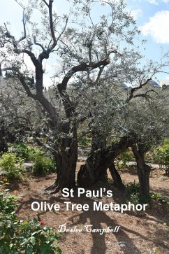 St Paul's Olive Tree Metaphor (eBook, ePUB) - Campbell, Deslee