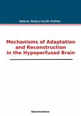 Mechanisms of Adaptation and Reconstruction in the Hypoperfused Brain (eBook, ePUB)