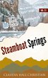 Steamboat Springs (Denver Cereal, #21)... - Bild 1