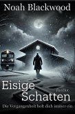 Eisige Schatten - Die Vergangenheit holt dich immer ein: Thriller (eBook, ePUB)