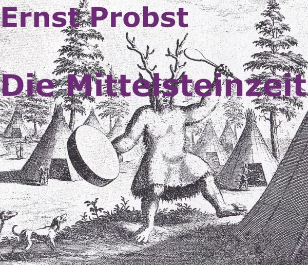 Die Mittelsteinzeit (eBook, ePUB)