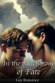 In the Maelstrom of Fate: Gay Romance (eBook, ePUB) In the Maelstrom of Fate: Gay Romance (eBook, ePUB)
