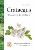 Crataegus (eBook, ePUB)