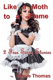Like A Moth To A Flame (eBook, ePUB) Like A Moth To A Flame (eBook, ePUB)