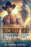 Because You Rejected Me (Shifter Grove Rogue Wolves, #1) (eBook, ePUB)