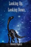 Looking Up, Looking Down (eBook, ePUB)