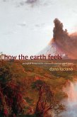 How the Earth Feels (eBook, PDF)