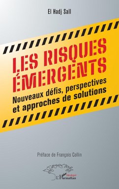 Cover Les risques émergents (eBook, PDF)
