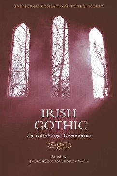 Cover Irish Gothic (eBook, PDF)