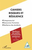 Resilience des petites et moyennes entreprises (eBook, ePUB)
