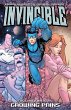 Invincible Vol. 13 (eBook, PDF) - Bild 1