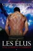 Une tempête d'ombres (eBook, ePUB)