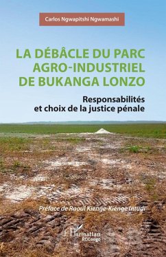 Cover La débâcle du parc agro-industriel de Bukanga Lonzo (eBook, PDF)