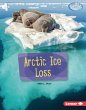 Arctic Ice Loss (eBook, PDF) - Bild 1
