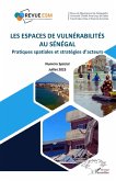 Les espaces de vulnerabilites au Senegal (eBook, PDF) Les espaces de vulnerabilites au Senegal (eBook, PDF)