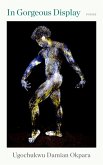 In Gorgeous Display (eBook, ePUB)