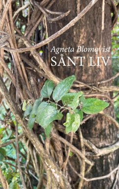 Cover Sånt liv (eBook, ePUB)