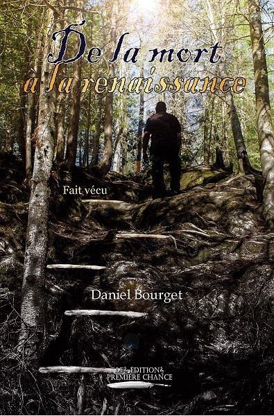 De la Mort à la Renaissance (eBook, ePUB) De la Mort à la Renaissance (eBook, ePUB)