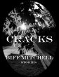 Cracks (eBook, ePUB) - Bild 1