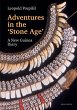 Adventures in the Stone Age (eBook, PDF) - Bild 1
