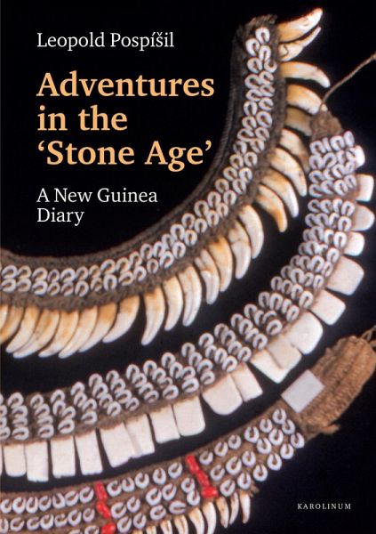 Adventures in the Stone Age (eBook, PDF)