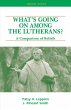 What's Going on Among the Lutherans?... - Bild 1