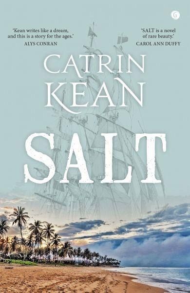 Salt (eBook, ePUB)