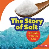 Story of Salt (eBook, PDF) Story of Salt (eBook, PDF)