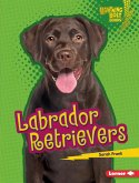 Labrador Retrievers (eBook, ePUB)