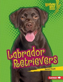 Cover Labrador Retrievers (eBook, ePUB)