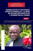 Normativité et pratique juridictionnelles: la mise en oeuvre des droits de l'Homme en R.D Congo (eBook, PDF) Normativité et pratique juridictionnelles: la mise en oeuvre des droits de l'Homme en R.D Congo (eBook, PDF)