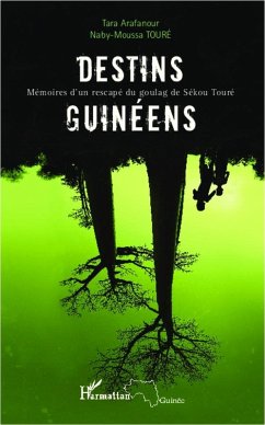 Destins guinéens (eBook, PDF) - Toure