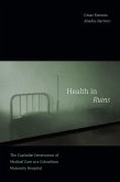 Health in Ruins (eBook, PDF)